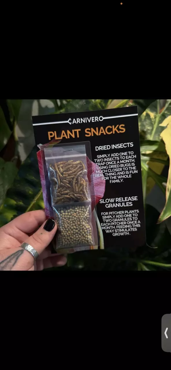 Plant Snacks thumbnail