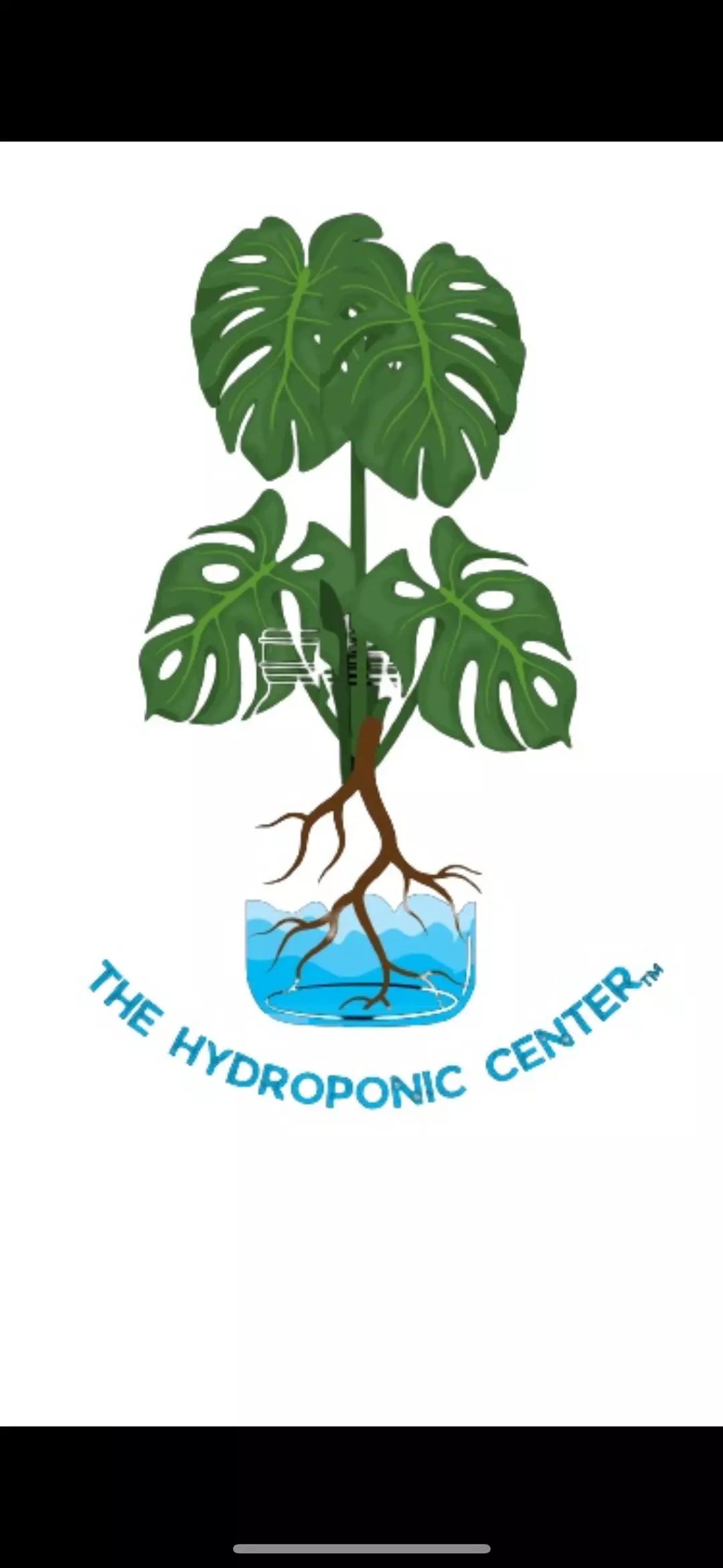 Mystery Hoya thumbnail