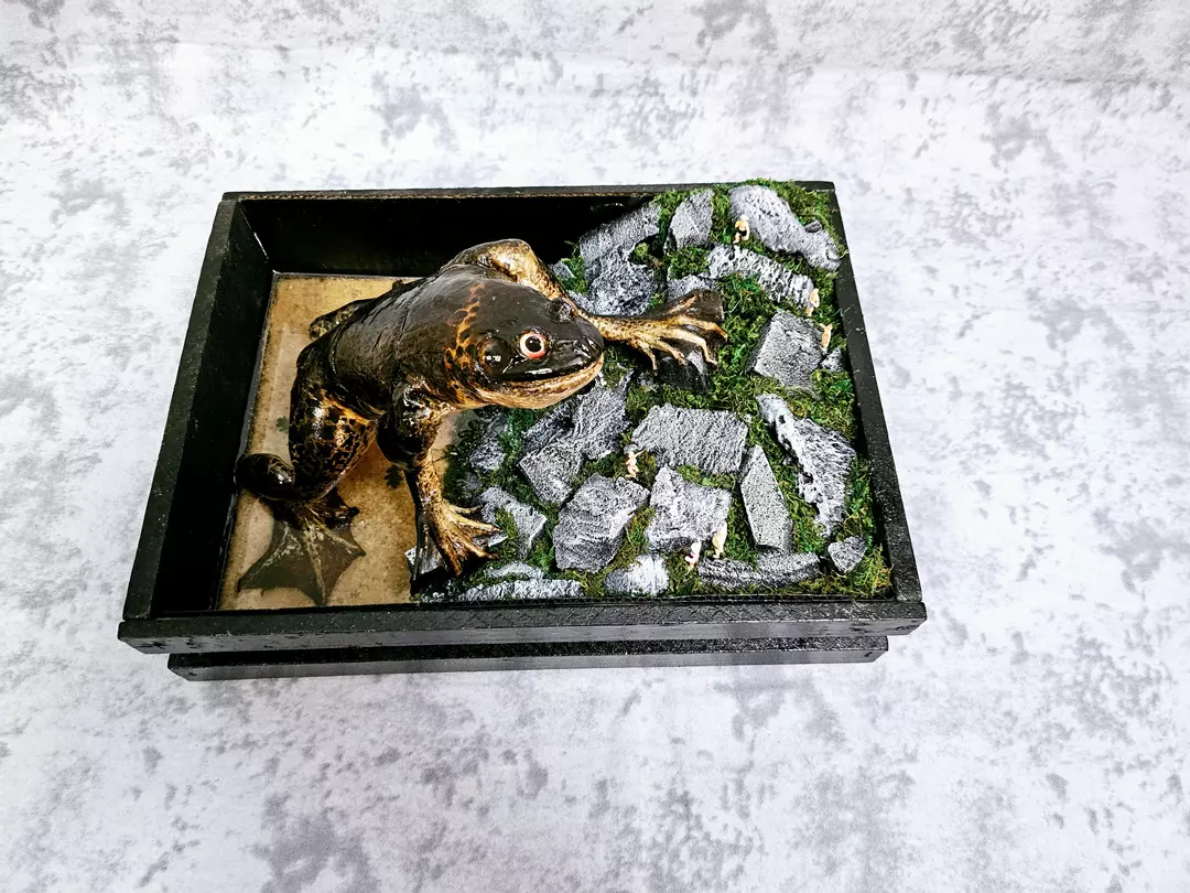 Loveland Frogman thumbnail