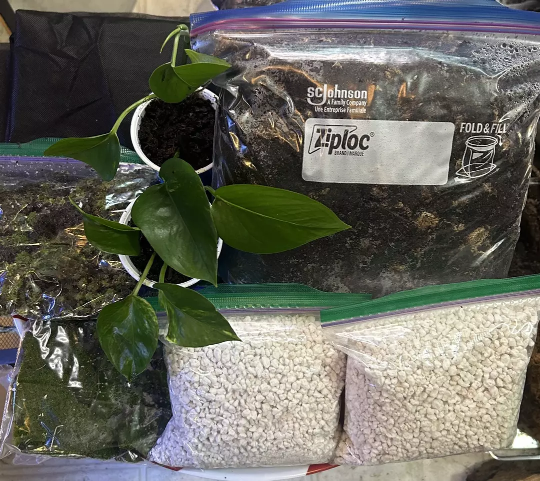 TmD bio active starter kit thumbnail