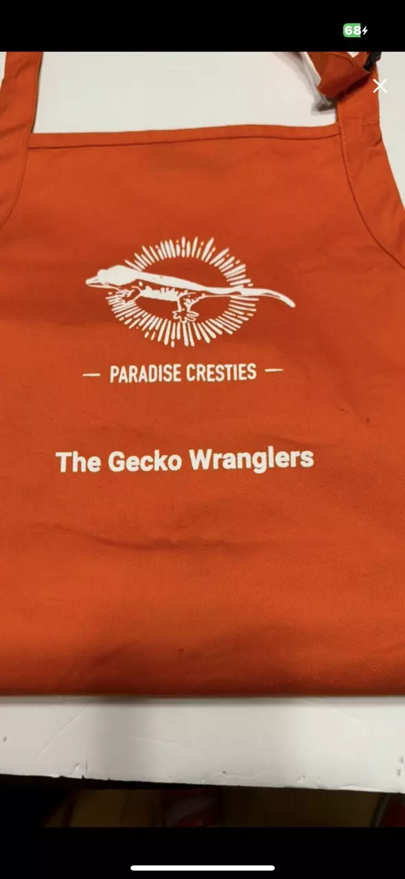 Apron with Pockets & Stain Release Technology  - Orange thumbnail