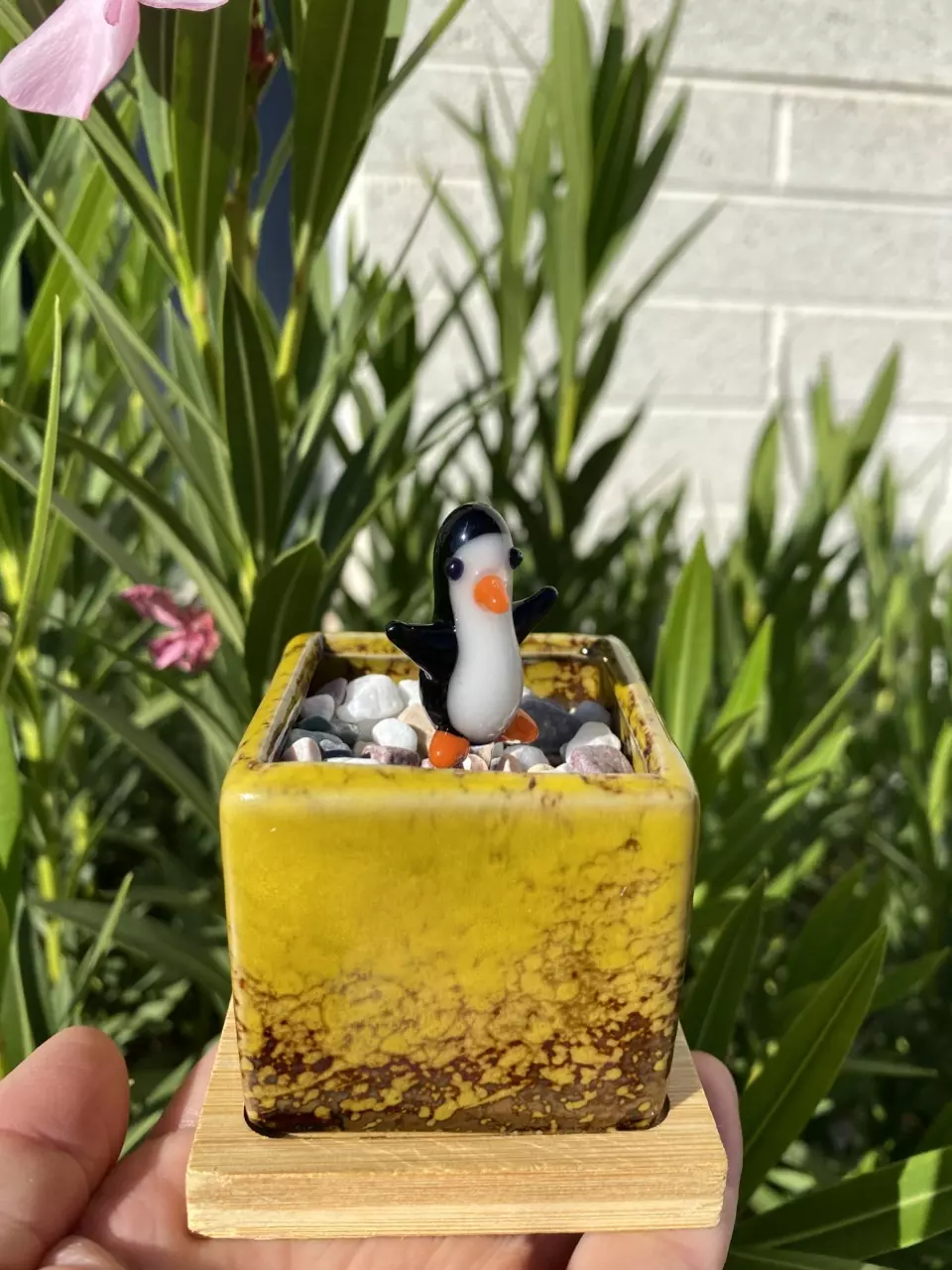 Penguin Pot Pal thumbnail