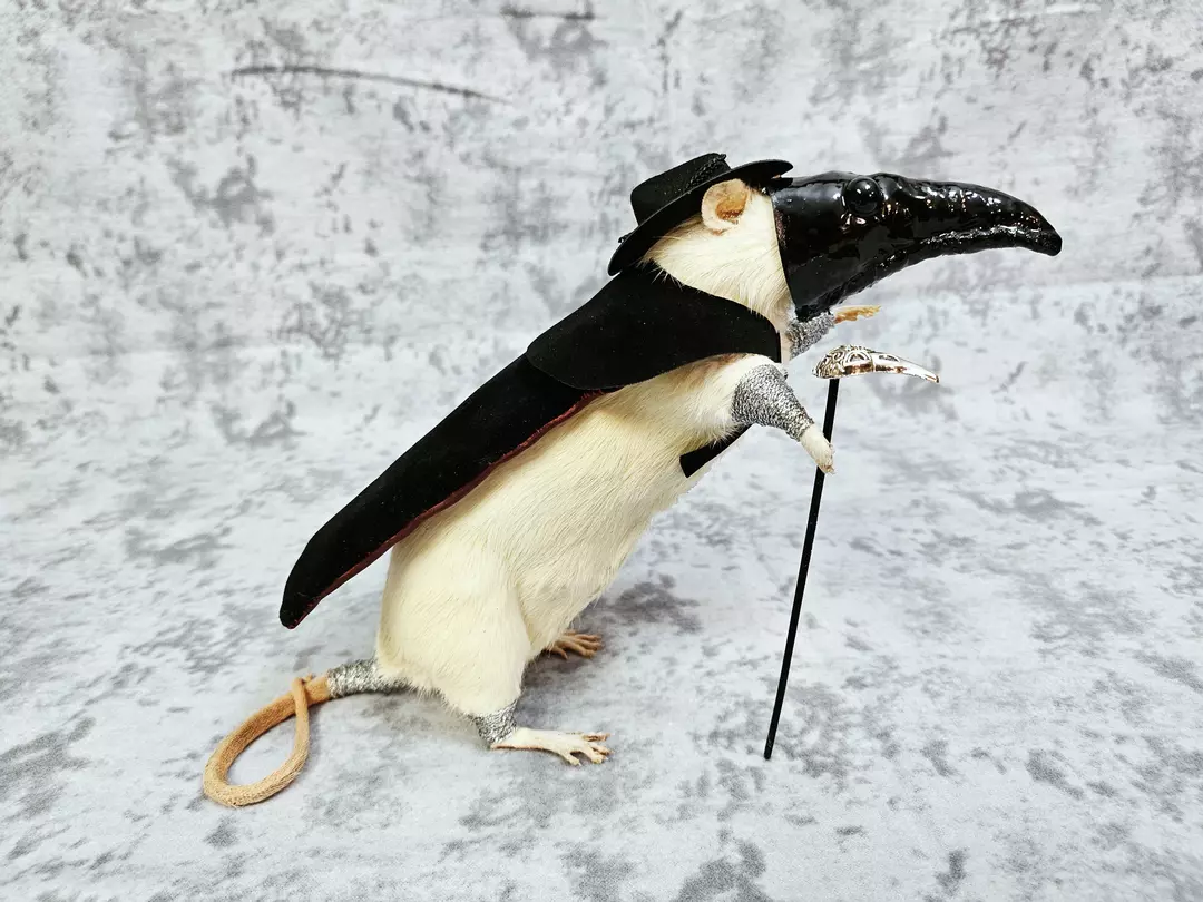 Taxidermy Gaff- Plague Doctor Rat thumbnail