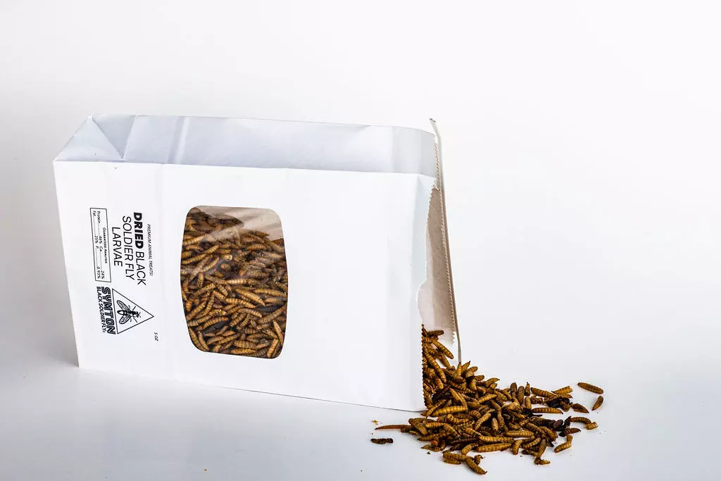 Dried Black Soldier Fly Larvae (5 oz) thumbnail