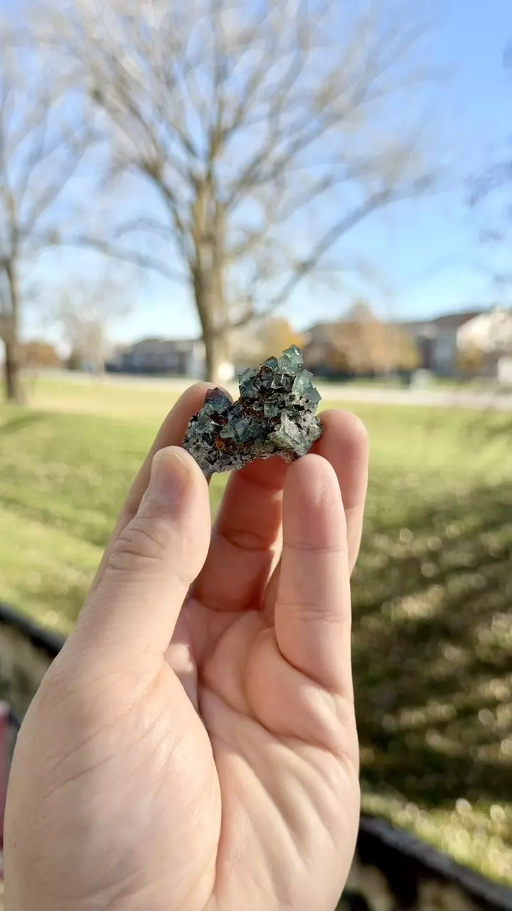 Tiny Twins Pocket thumbnail