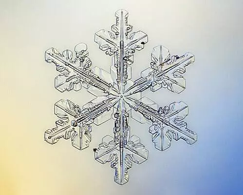 Heat pack only❣️ thumbnail