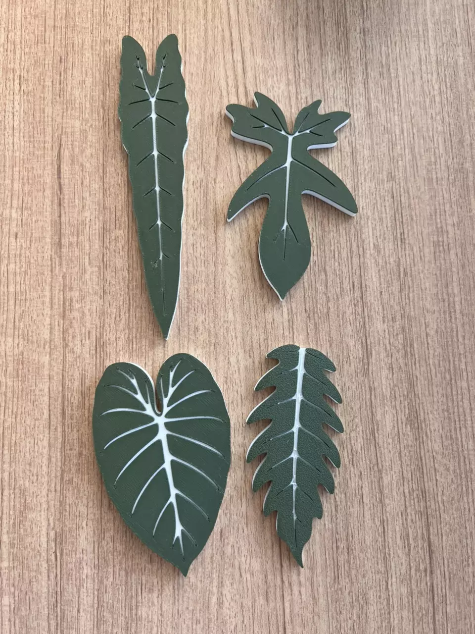 Philodendron Variety 4 Pack Fridge Magnets thumbnail