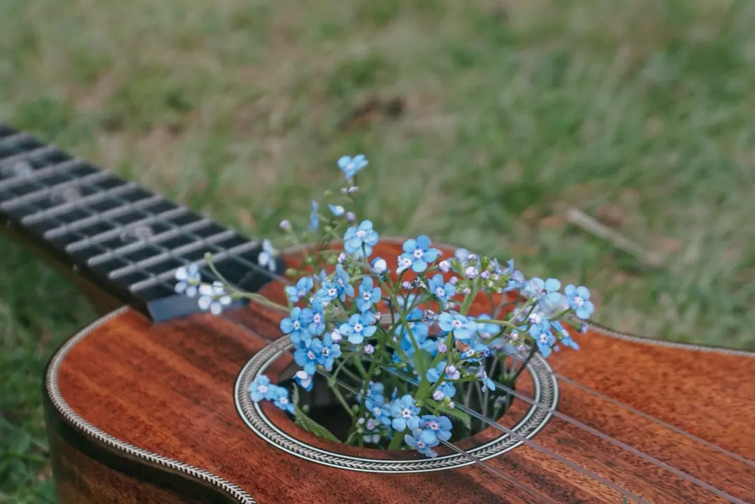 Custom shipping fee for test thumbnail