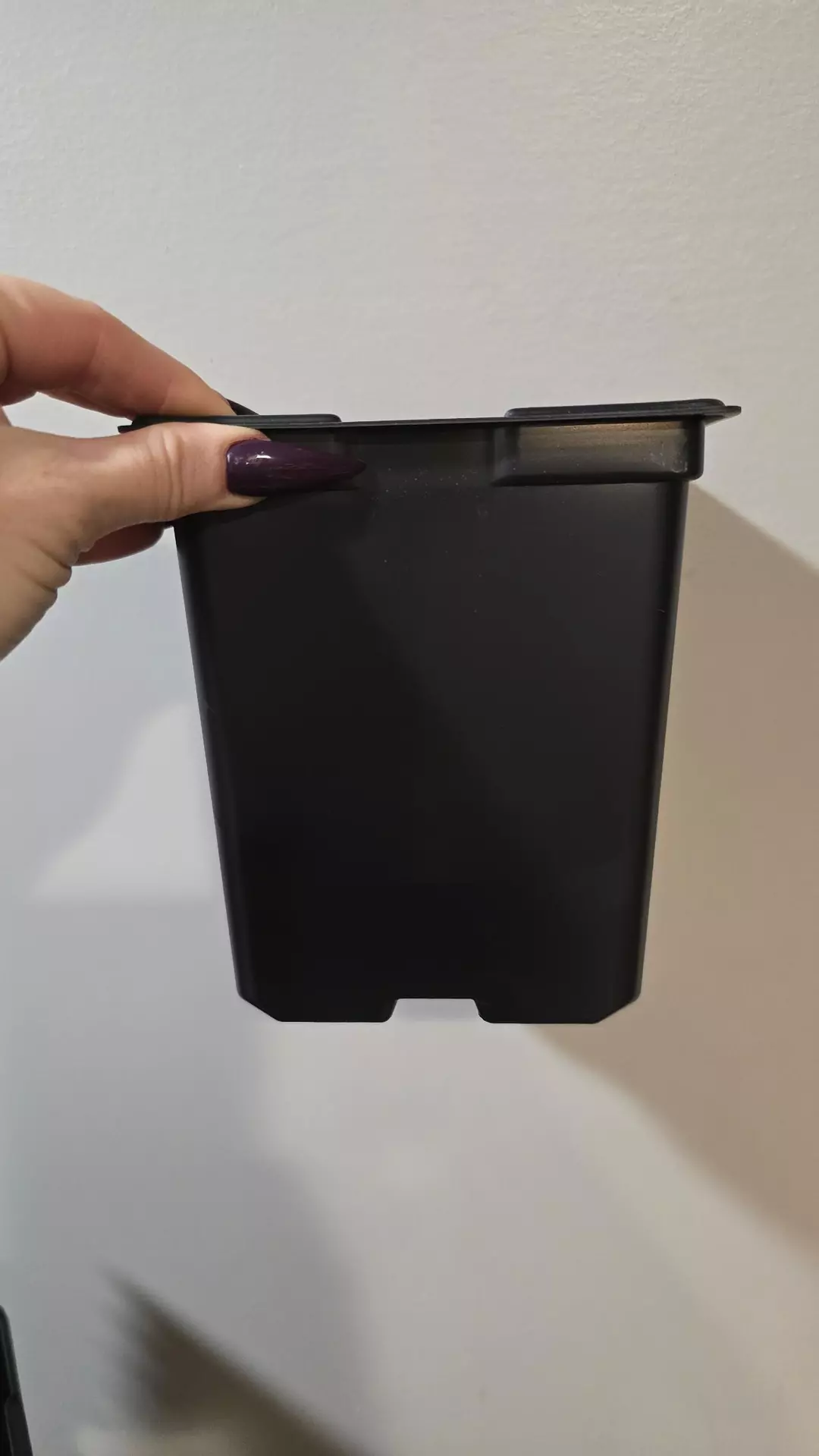 2 quart 5 inch pot 6in high special price for tonight only! thumbnail