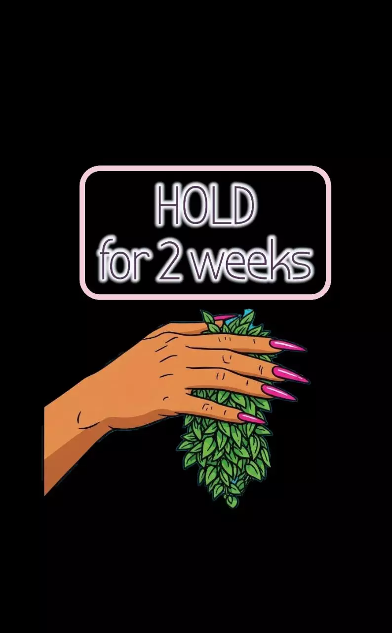 Hold shipping for 2 weeks thumbnail