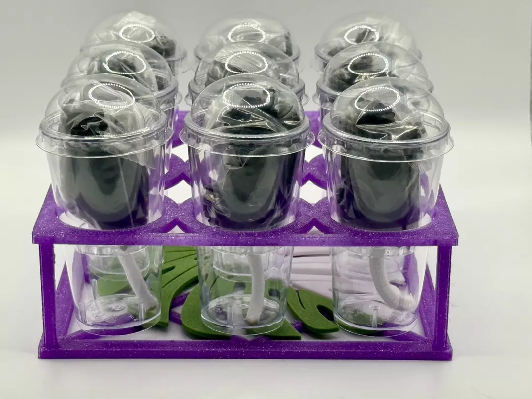 Glitter Purple Corm Cup Kit - 9 Cup thumbnail