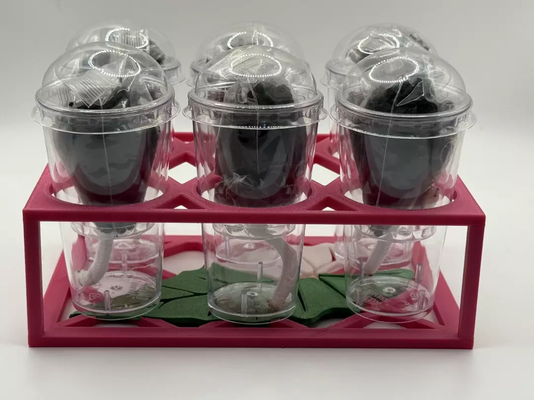 Pink Corm Cup Kit - 6 Cup thumbnail