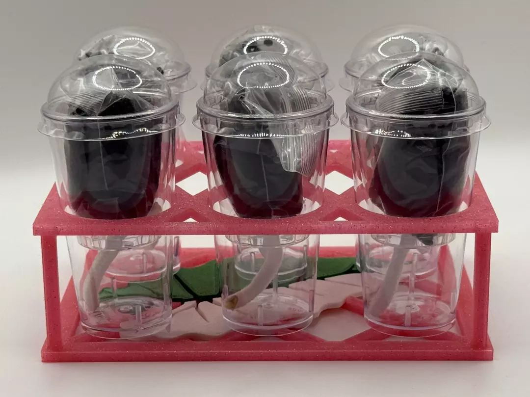 Glitter Pink Corm Cup Kit - 6 Cup thumbnail