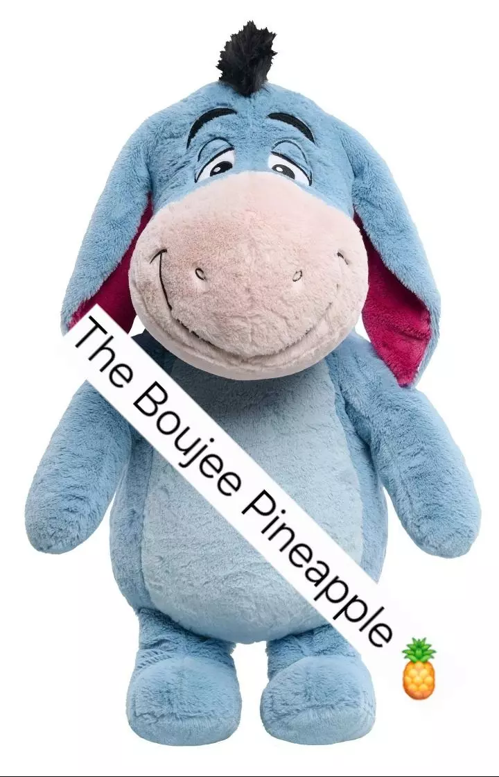 Eeyore Jumbo Plush 💙 thumbnail