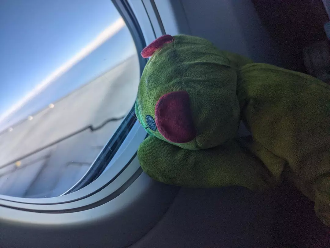 PACKAGE PLEASE (Rush handling & +1 to shipping) NOT NEXT DAY thumbnail