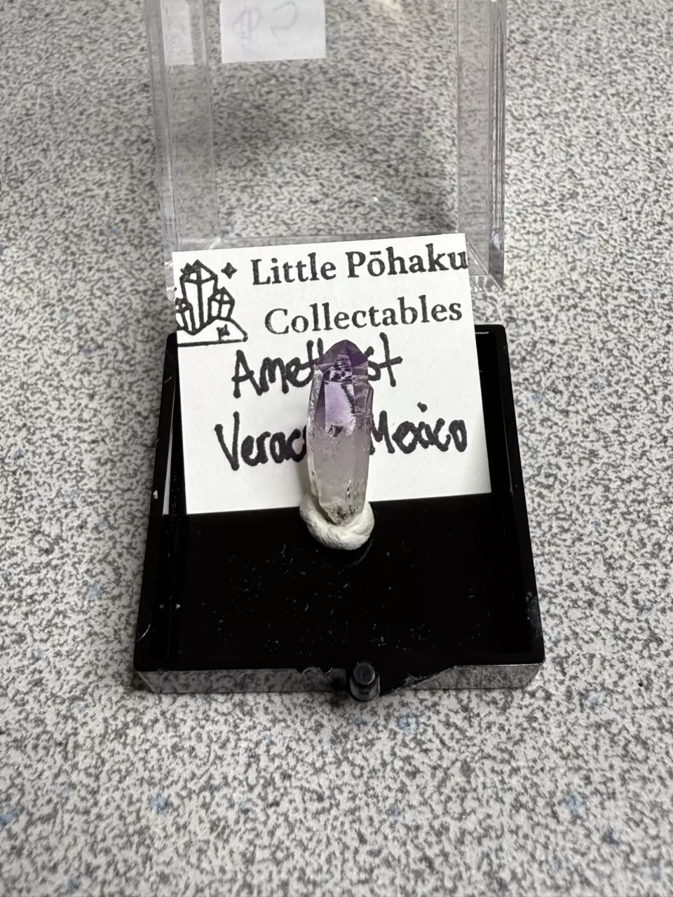Veracruz Amethyst Perky thumbnail