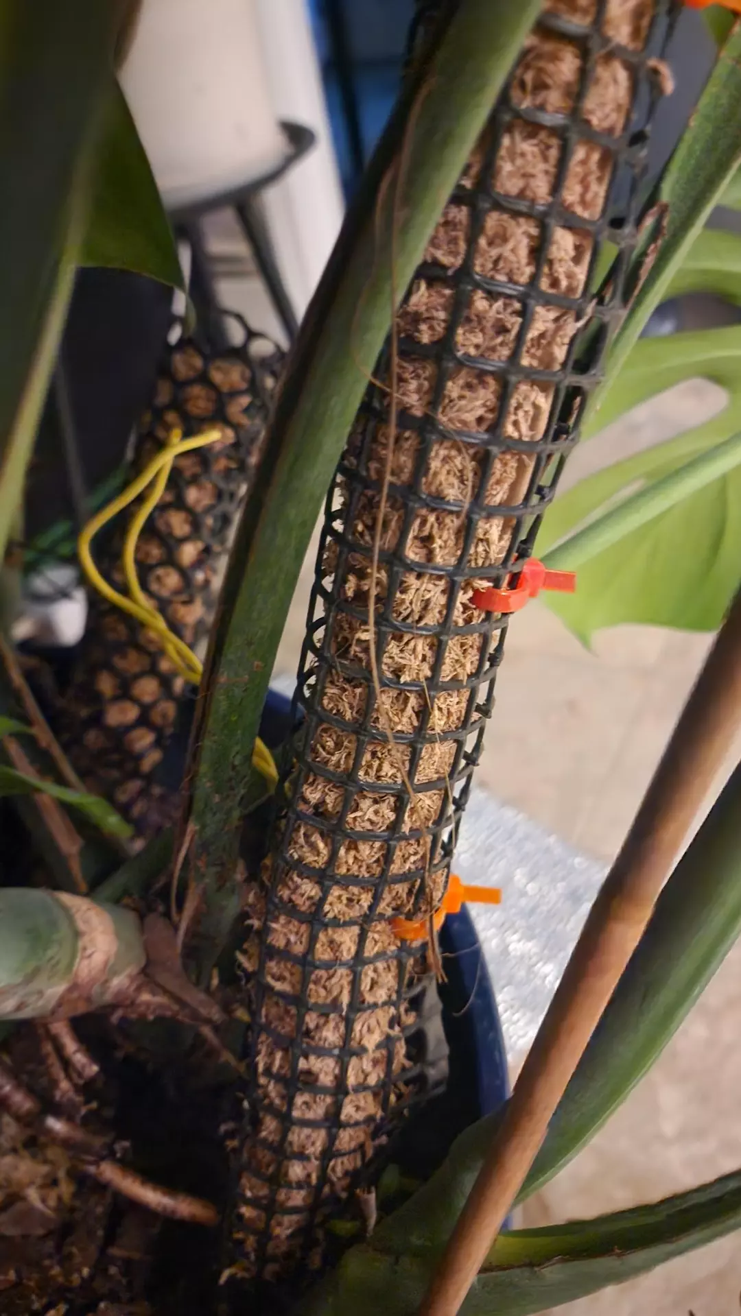 Moss poles adjustable size thumbnail