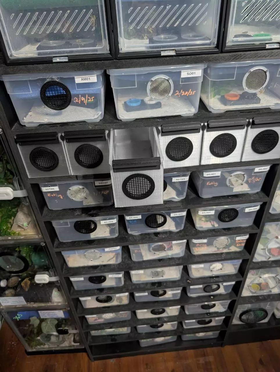 6qt bin replacement tub for hatchlings. thumbnail