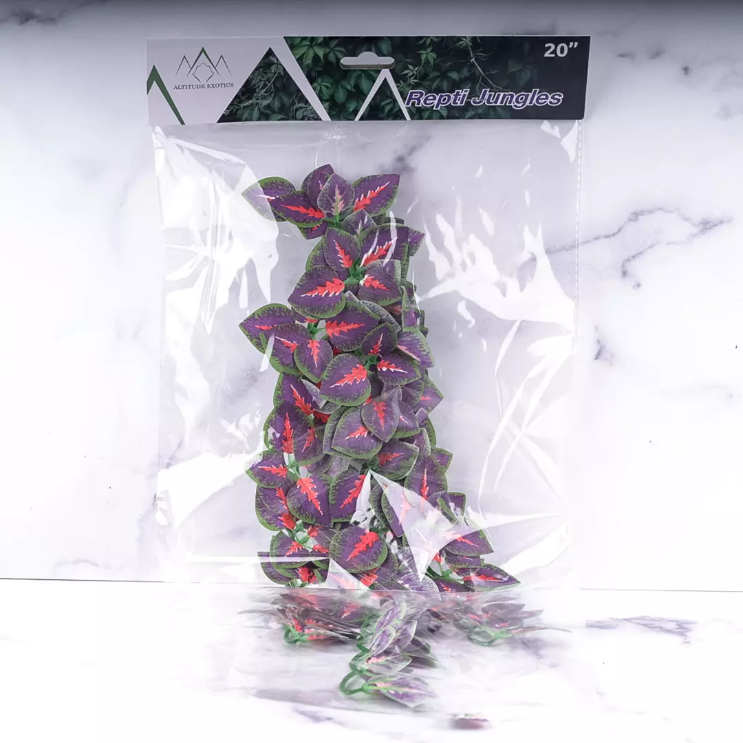 Repti Jungles Hanging Plant by Altitude Exotics- Purple thumbnail