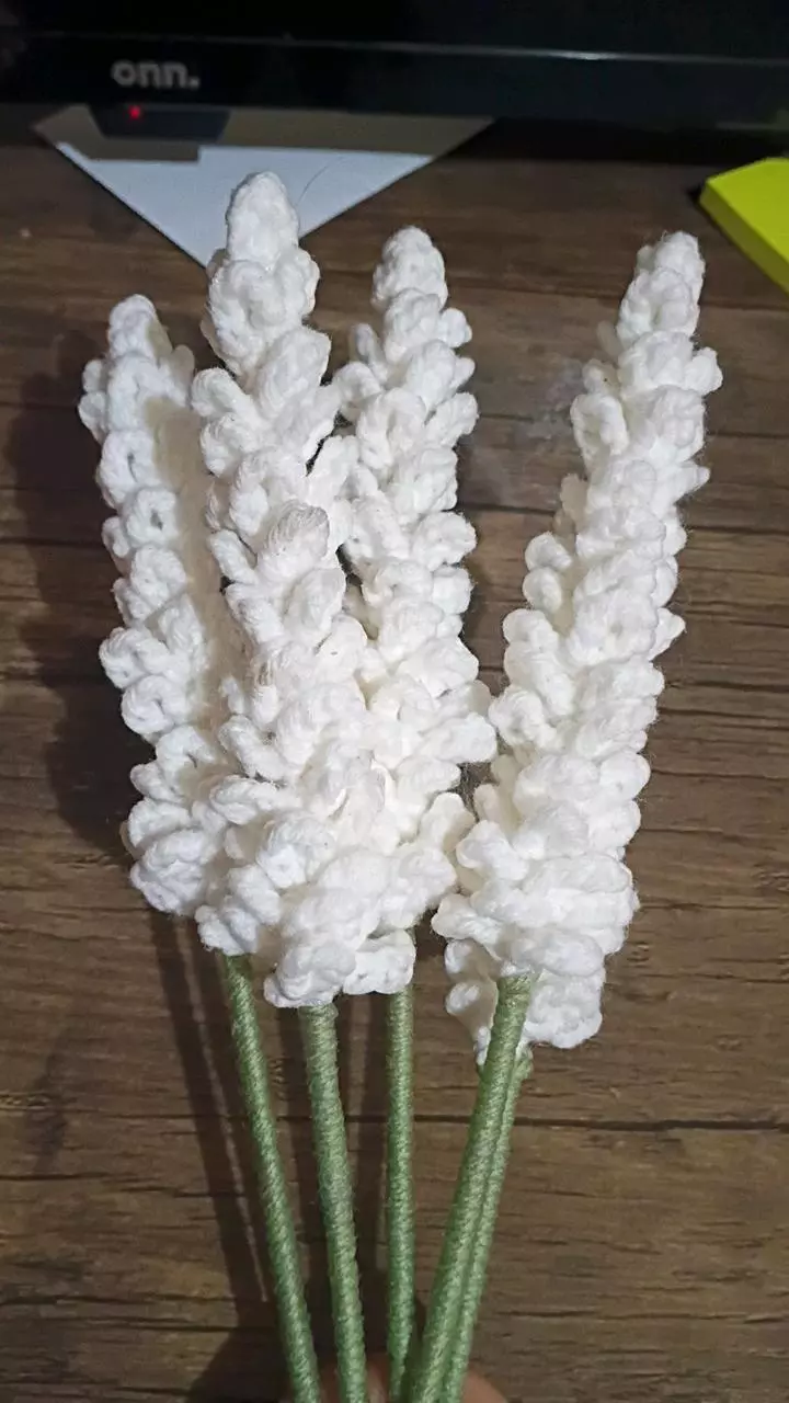 Single white Lavender thumbnail