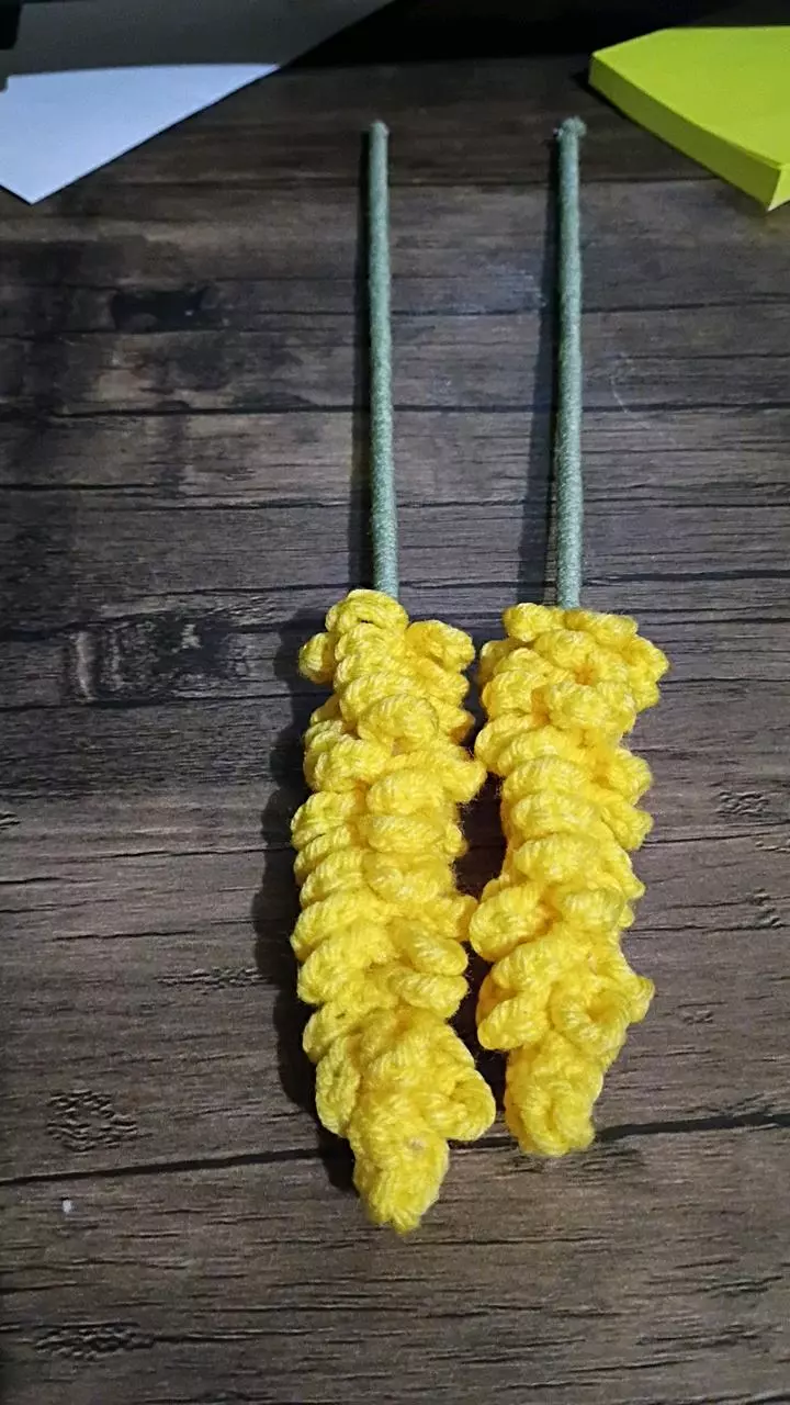 Single yellow lavender thumbnail