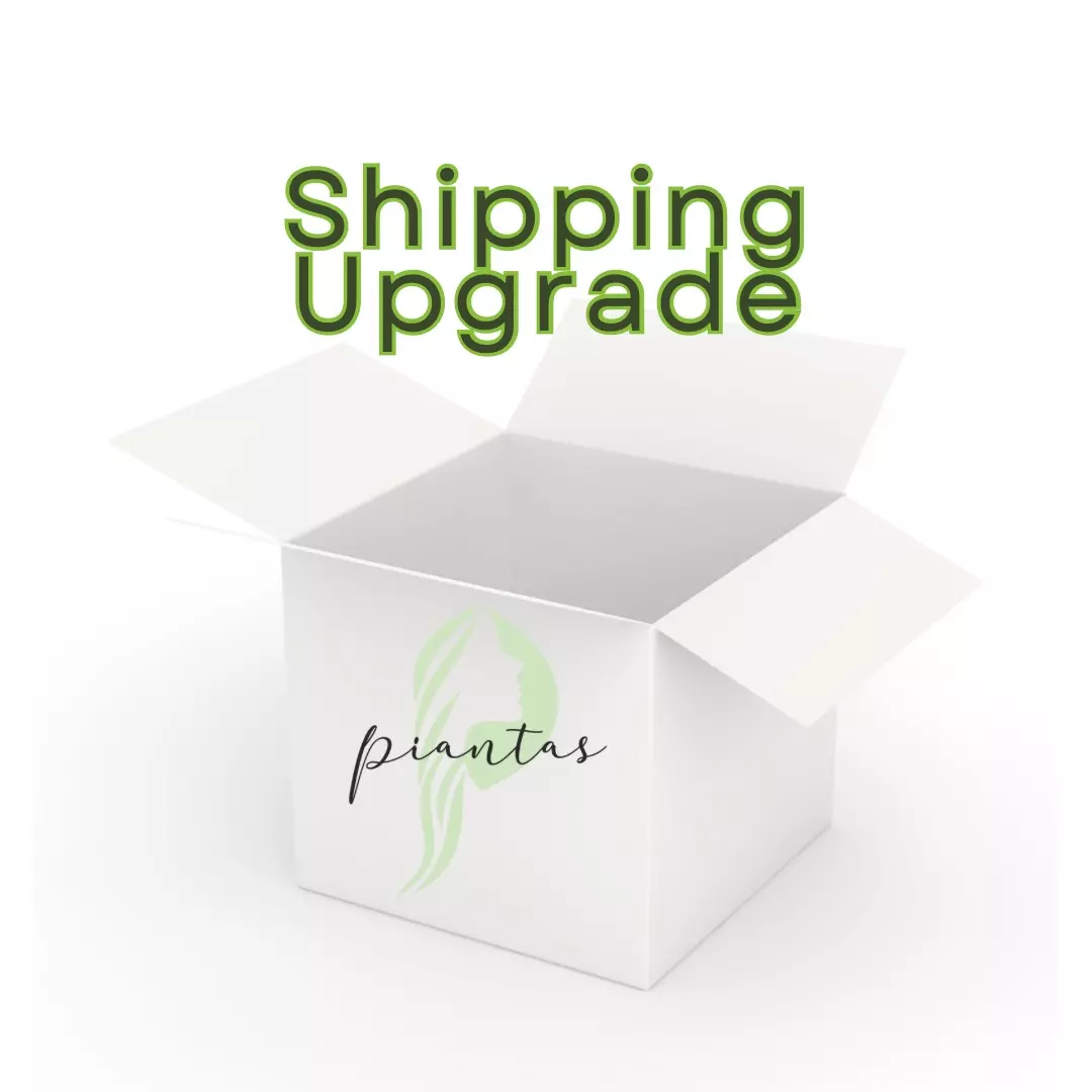 Shipping Upgrade thumbnail