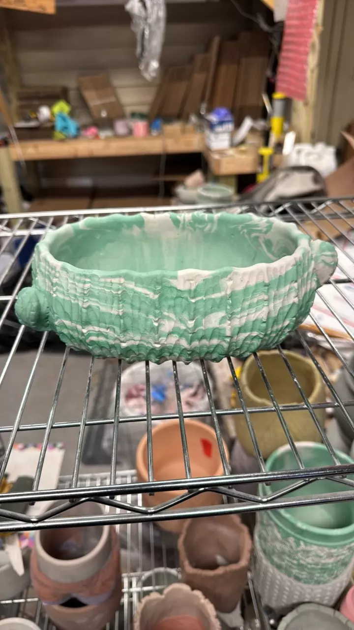 B48 7”x4” cactus thumbnail