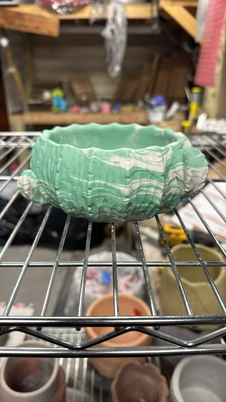 B46 4” cactus thumbnail