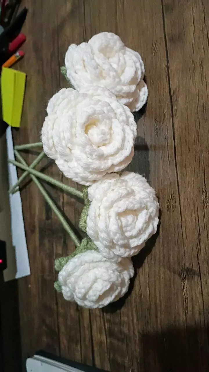 Single white rose thumbnail