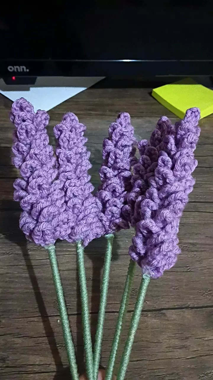 Purple Lavender Single thumbnail