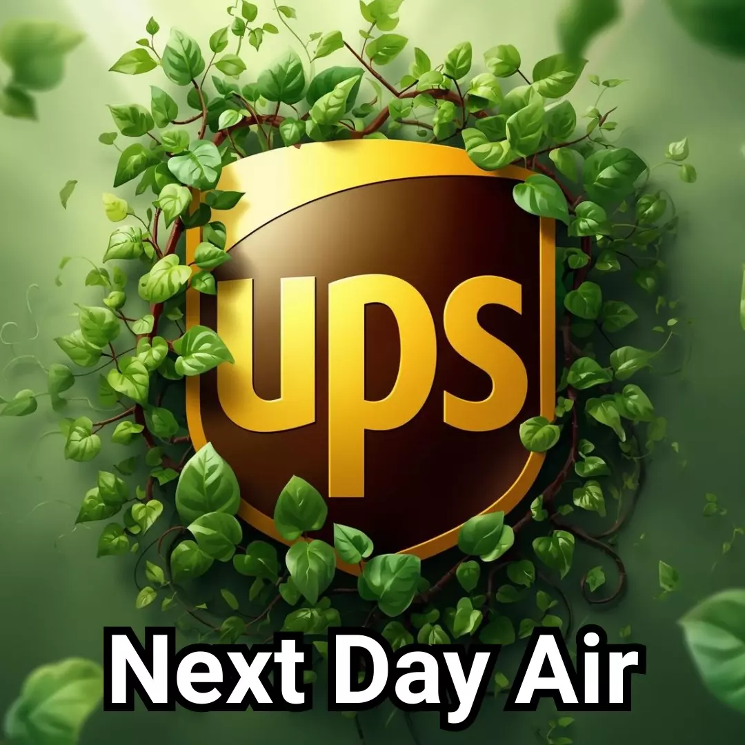 UPS Next Day Air thumbnail
