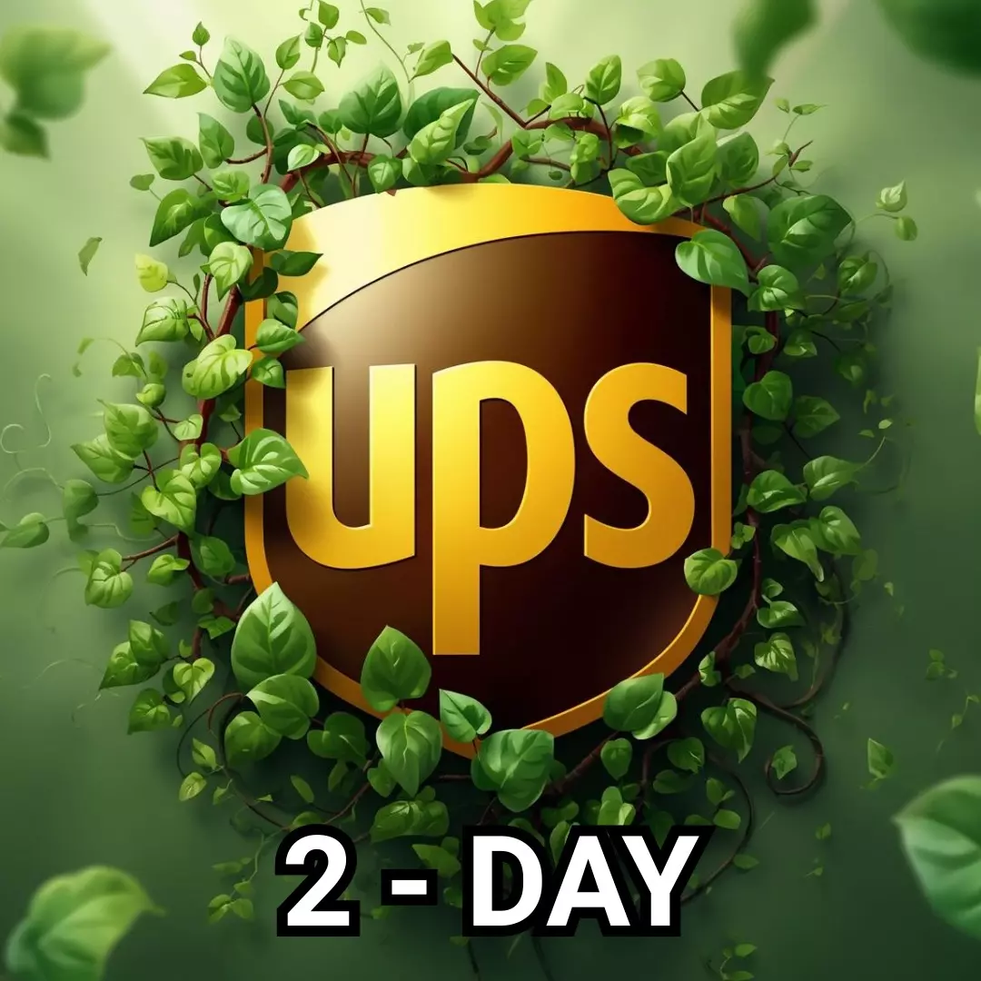 UPS 2 Day Shipping thumbnail