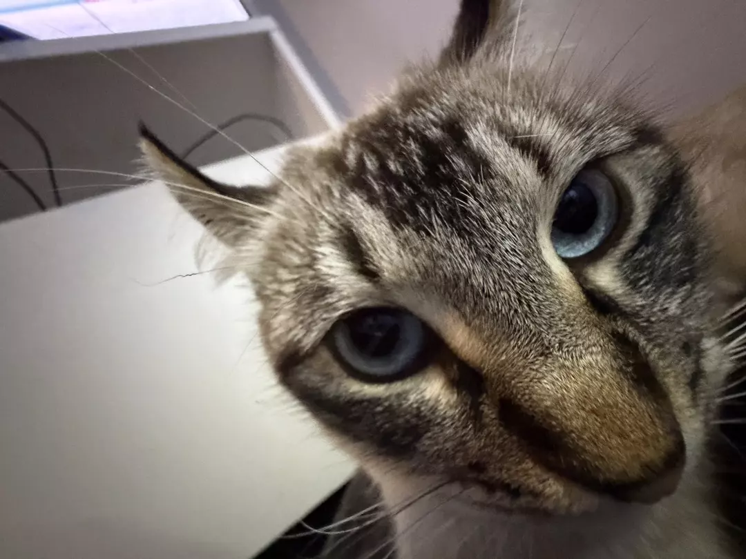 Insulation thumbnail