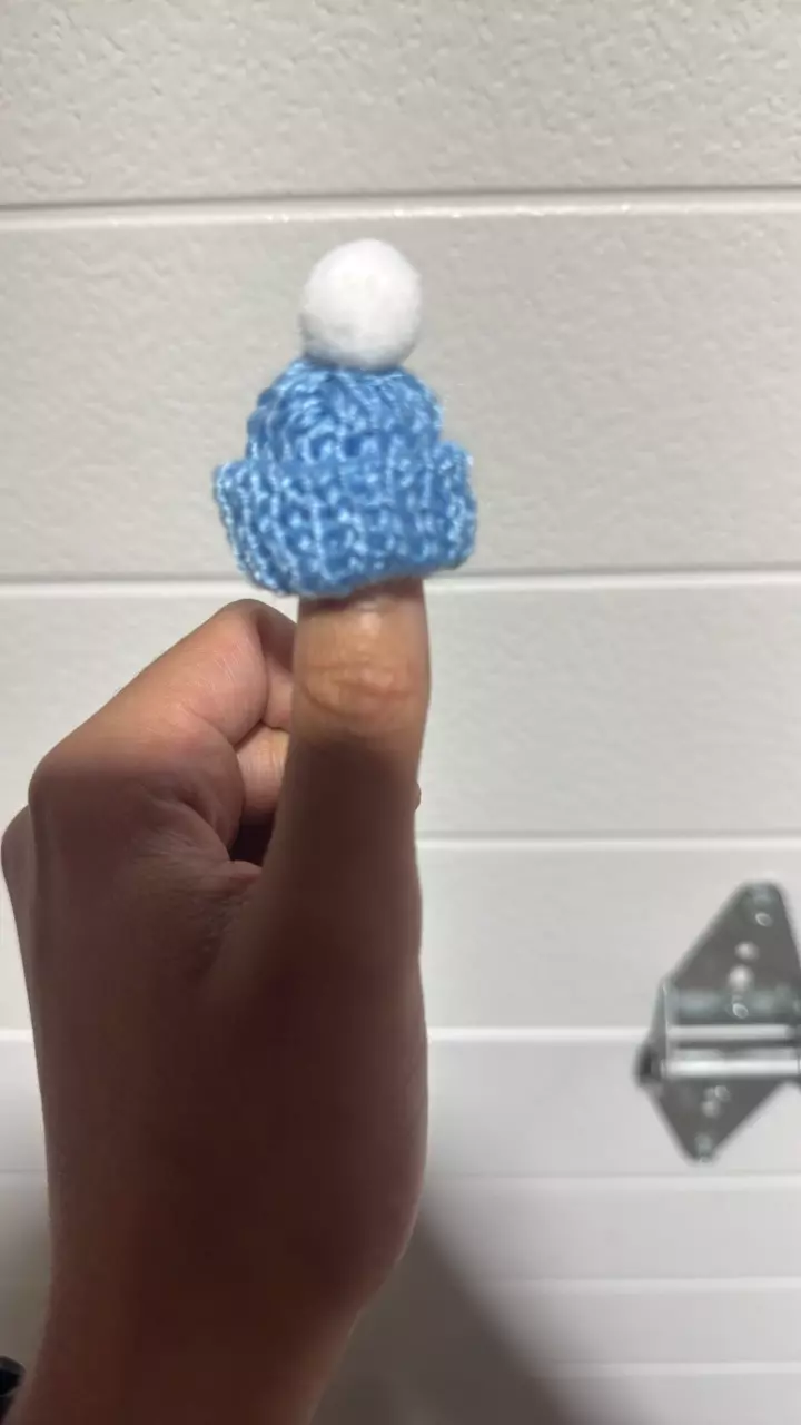 Plant decor - winter hat blue thumbnail