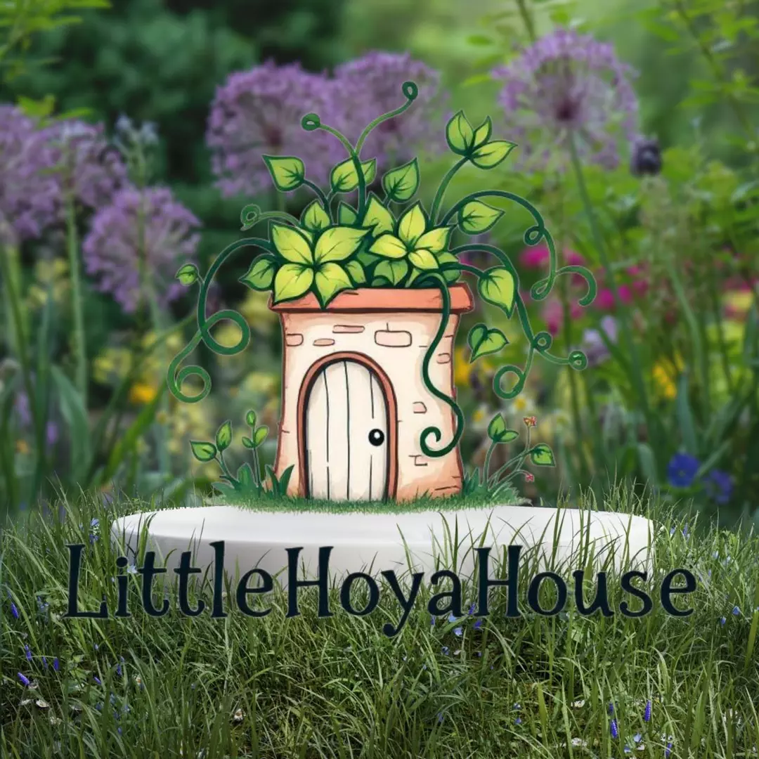 2 day Shipping Upgrade thumbnail