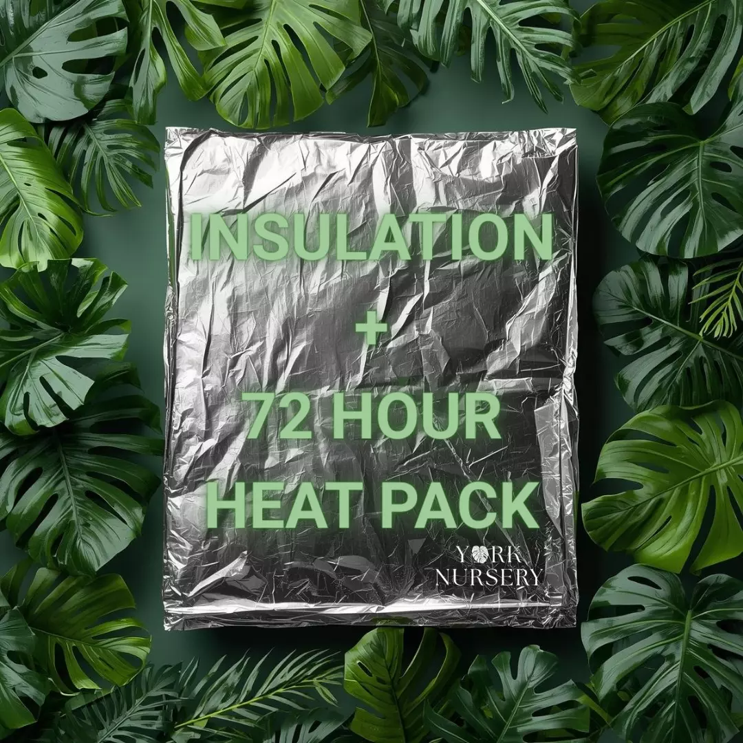 ❄️+🔥THERMAL WRAP & HEAT PACK ❄️+🔥 thumbnail