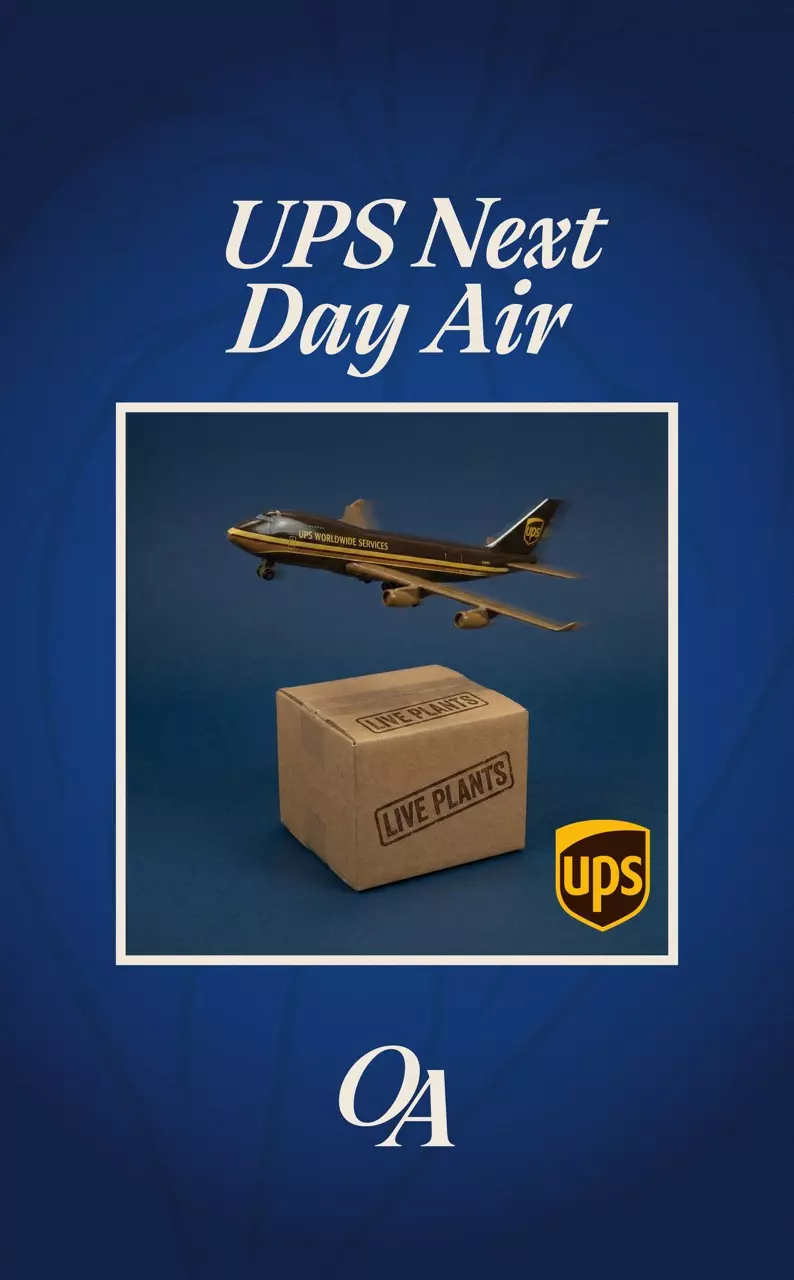 UPS Next Day Air upgrade thumbnail
