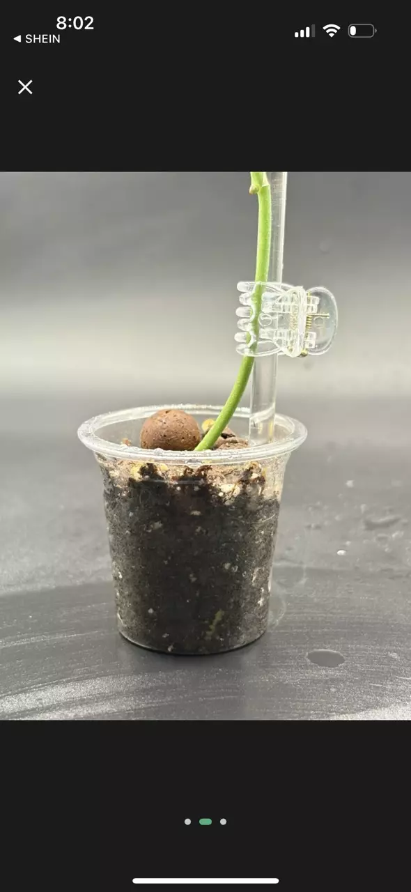 8’ Acrylic stake with clip thumbnail