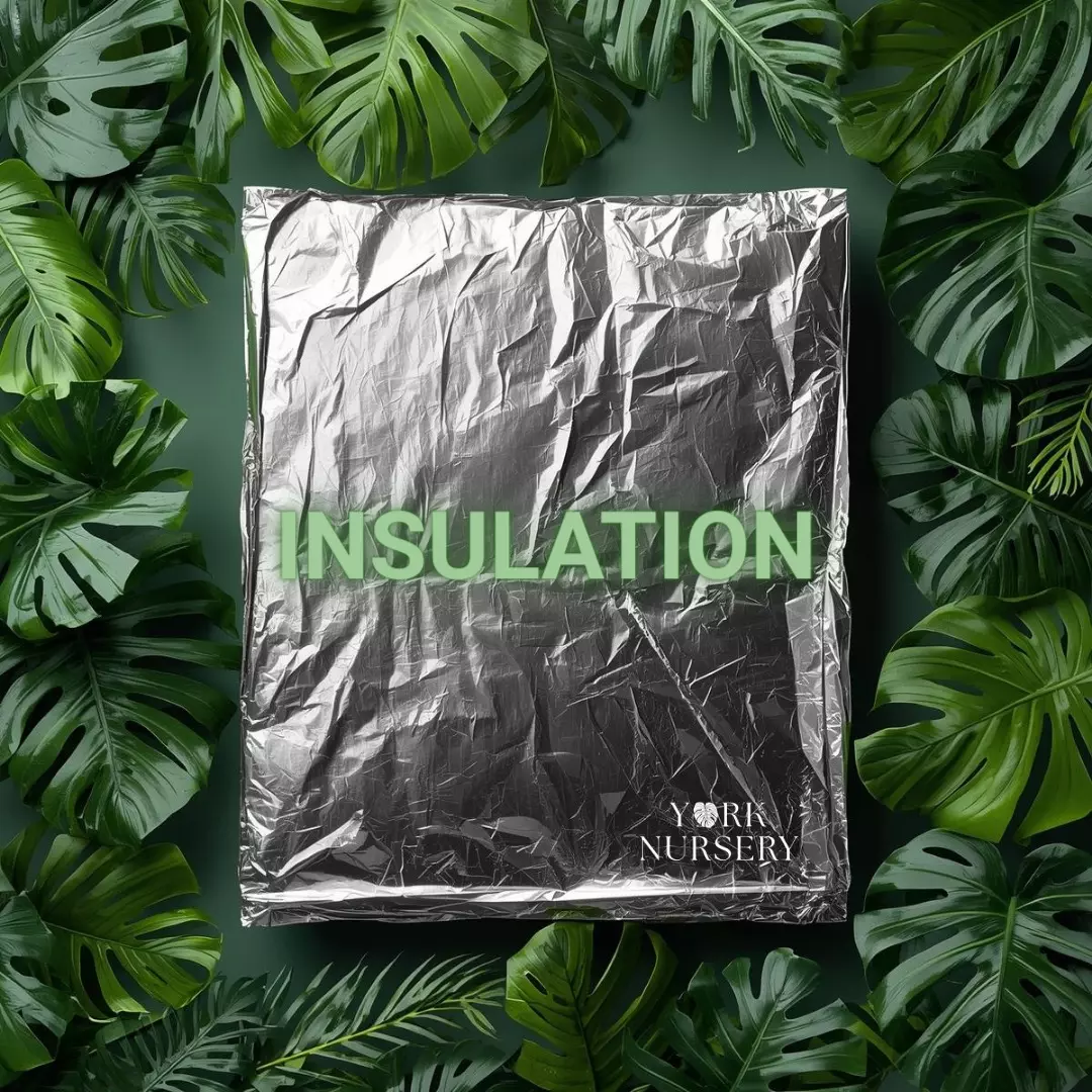 ❄️- PACKAGE INSULATION - ❄️ thumbnail