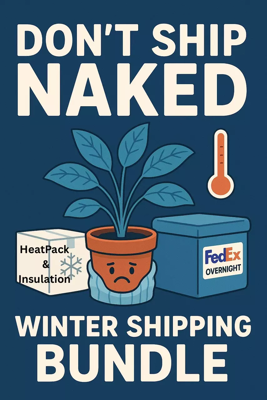 OVERNIGHT, HEATPACK & INSULATION! thumbnail