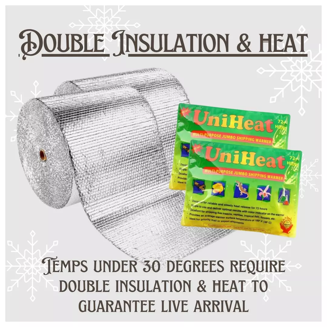 Double Insulation & Double Heat thumbnail