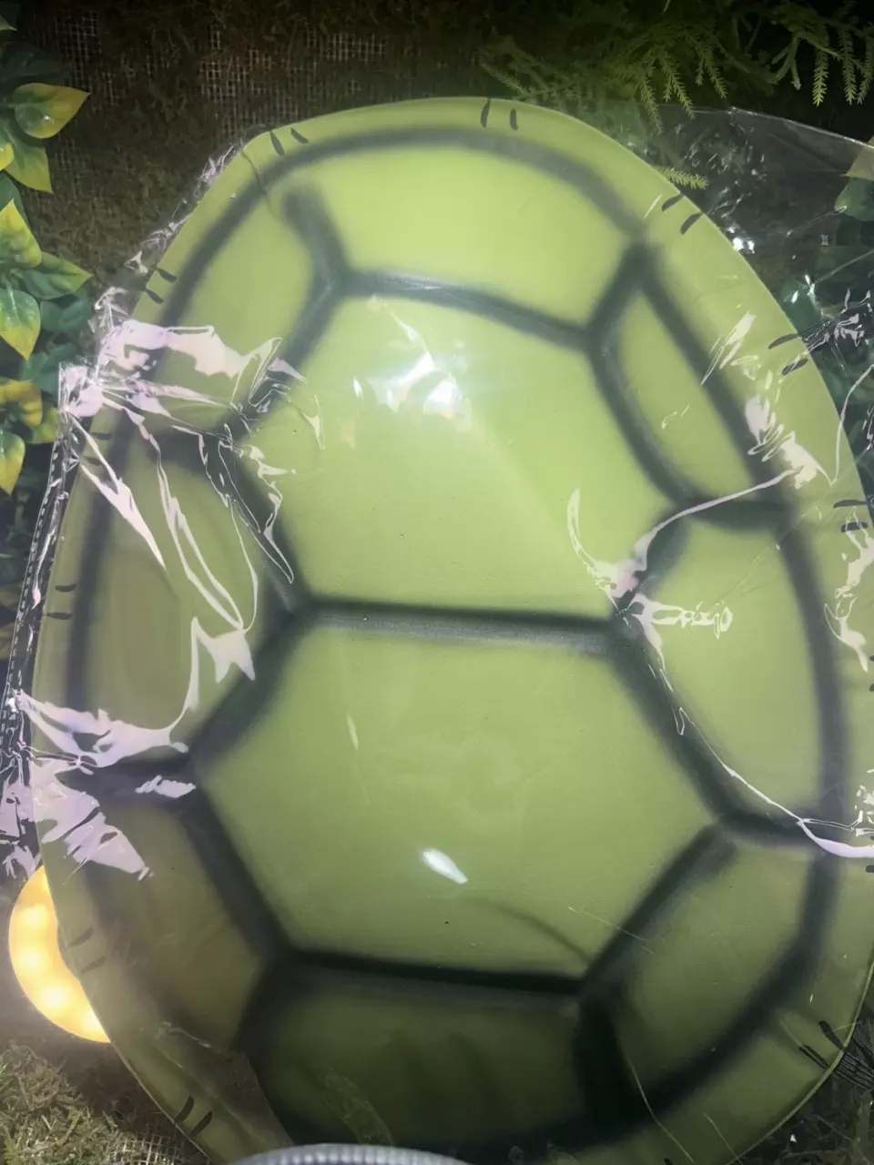 Turtley turtle club yearly membership thumbnail