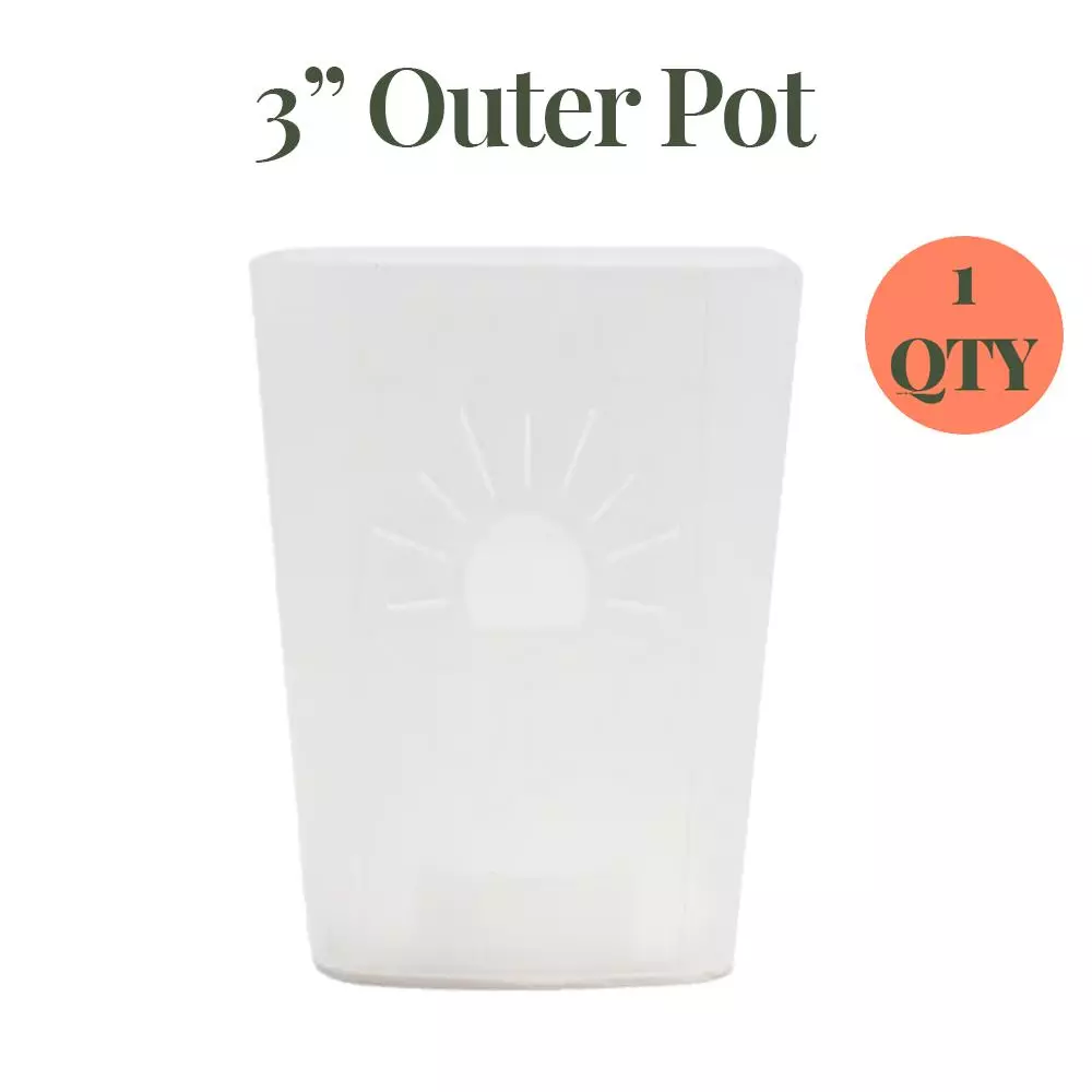 Naked Root 3" Planter - Transparent thumbnail