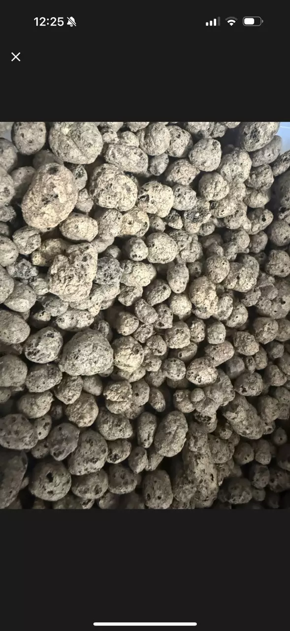 1 quart Leca thumbnail