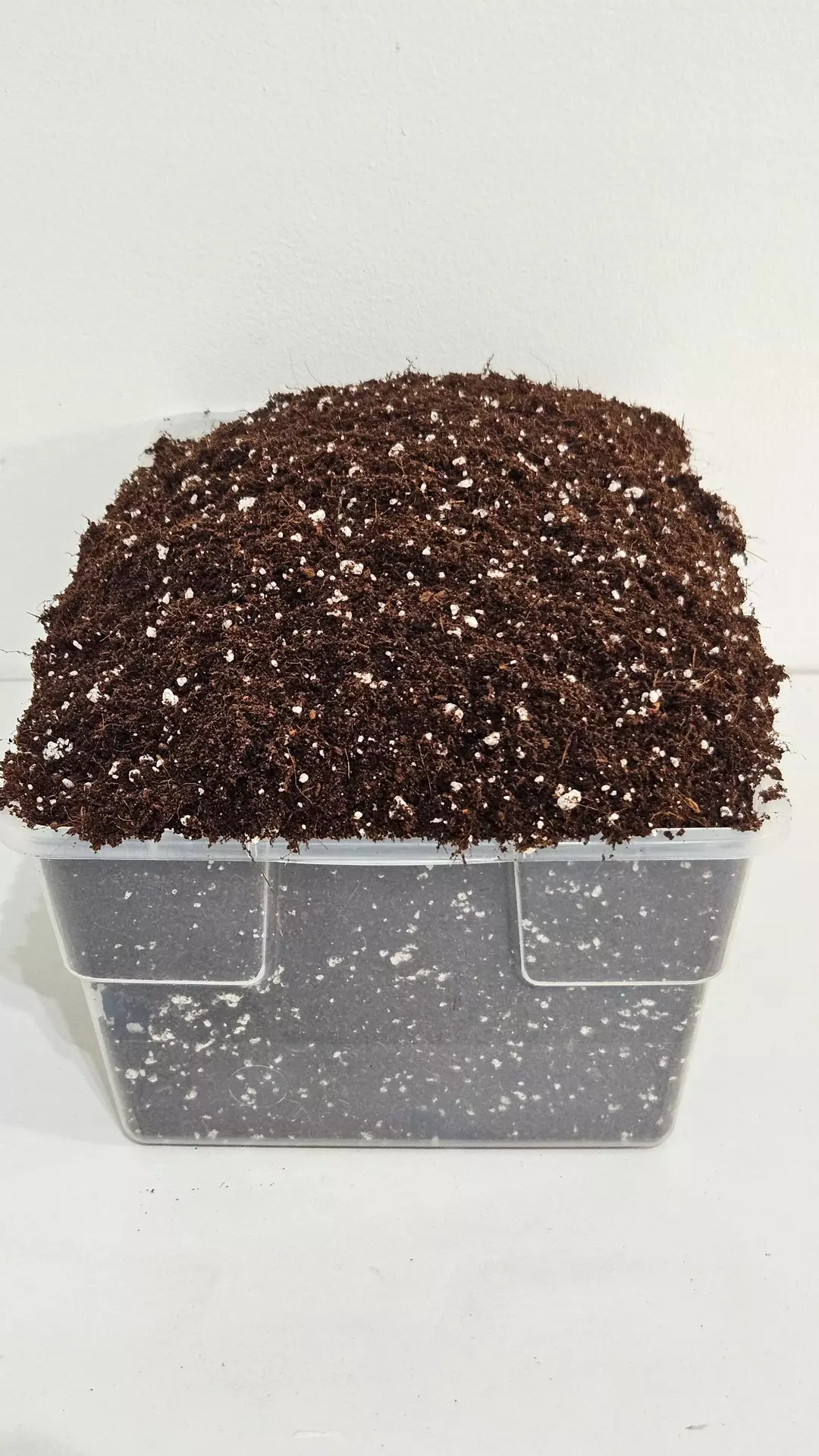50/50 Coco Coir & Perlite Mix (8 Quarts) thumbnail