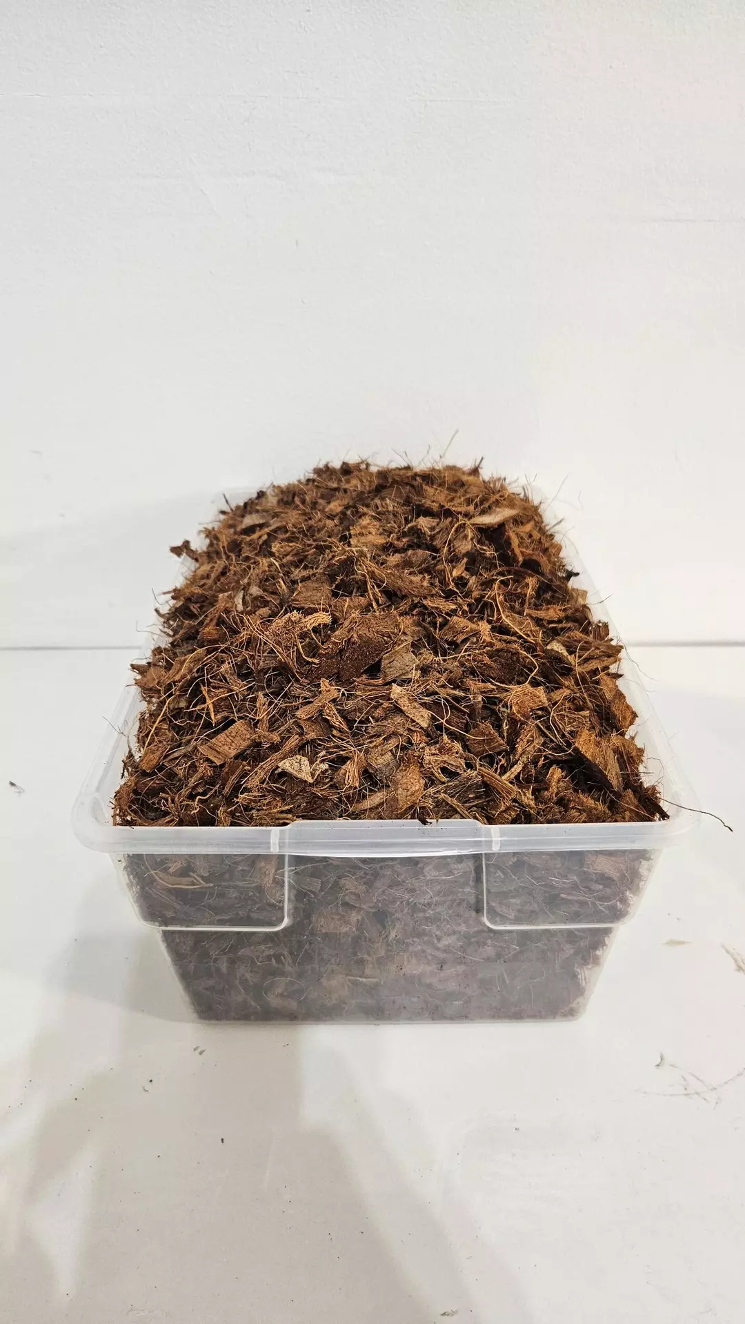 Coconut Husk/Chips - 6 Quarts thumbnail