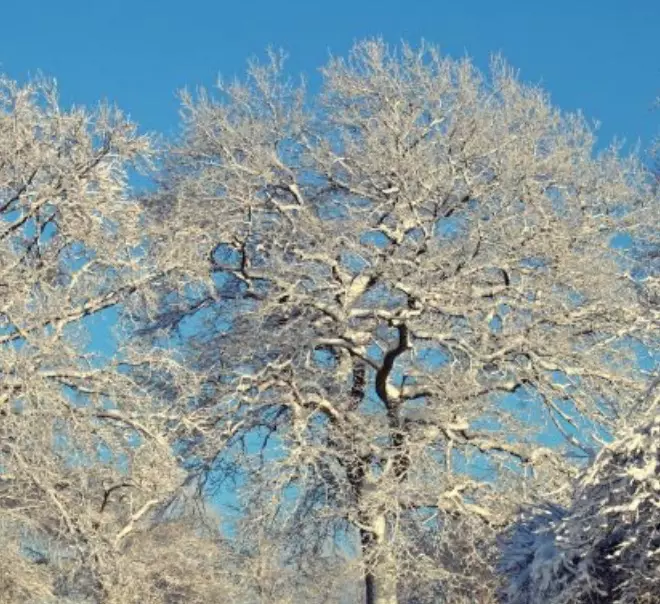 Double insulation thumbnail