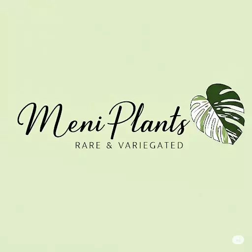 Insulation and Heatpack for small box thumbnail