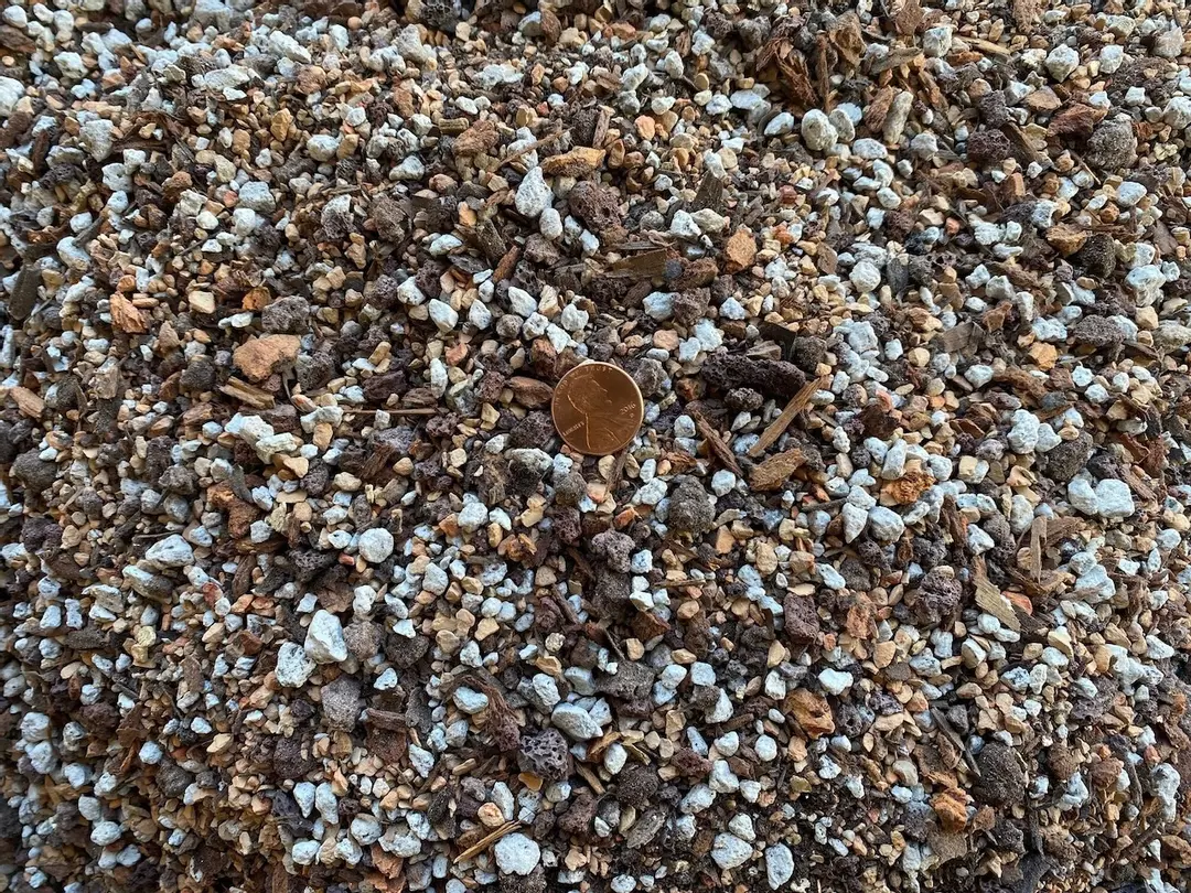 1QT - Cali-Bon Super Blend Cactus & Succulent Soil Mix with Coarse Sand, Pumice, Red Lava and Turface - Medium Grain thumbnail