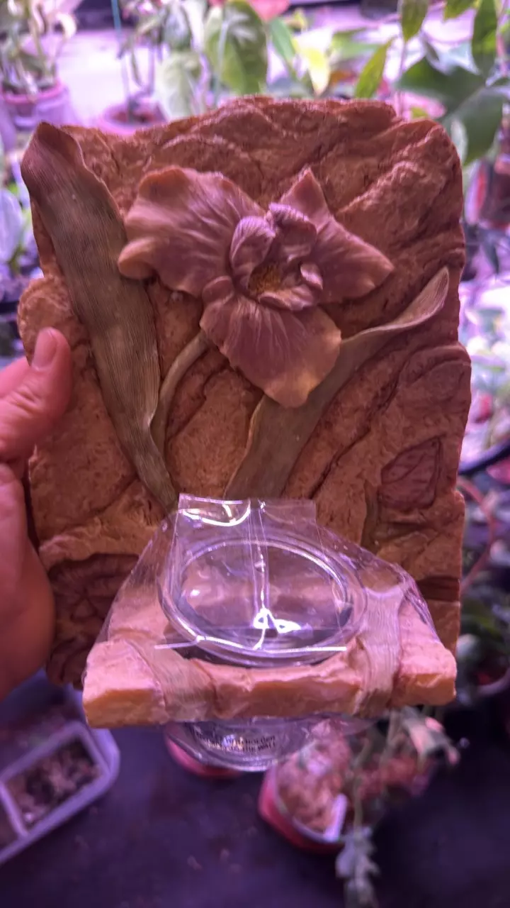 Wall plant prop station lily thumbnail